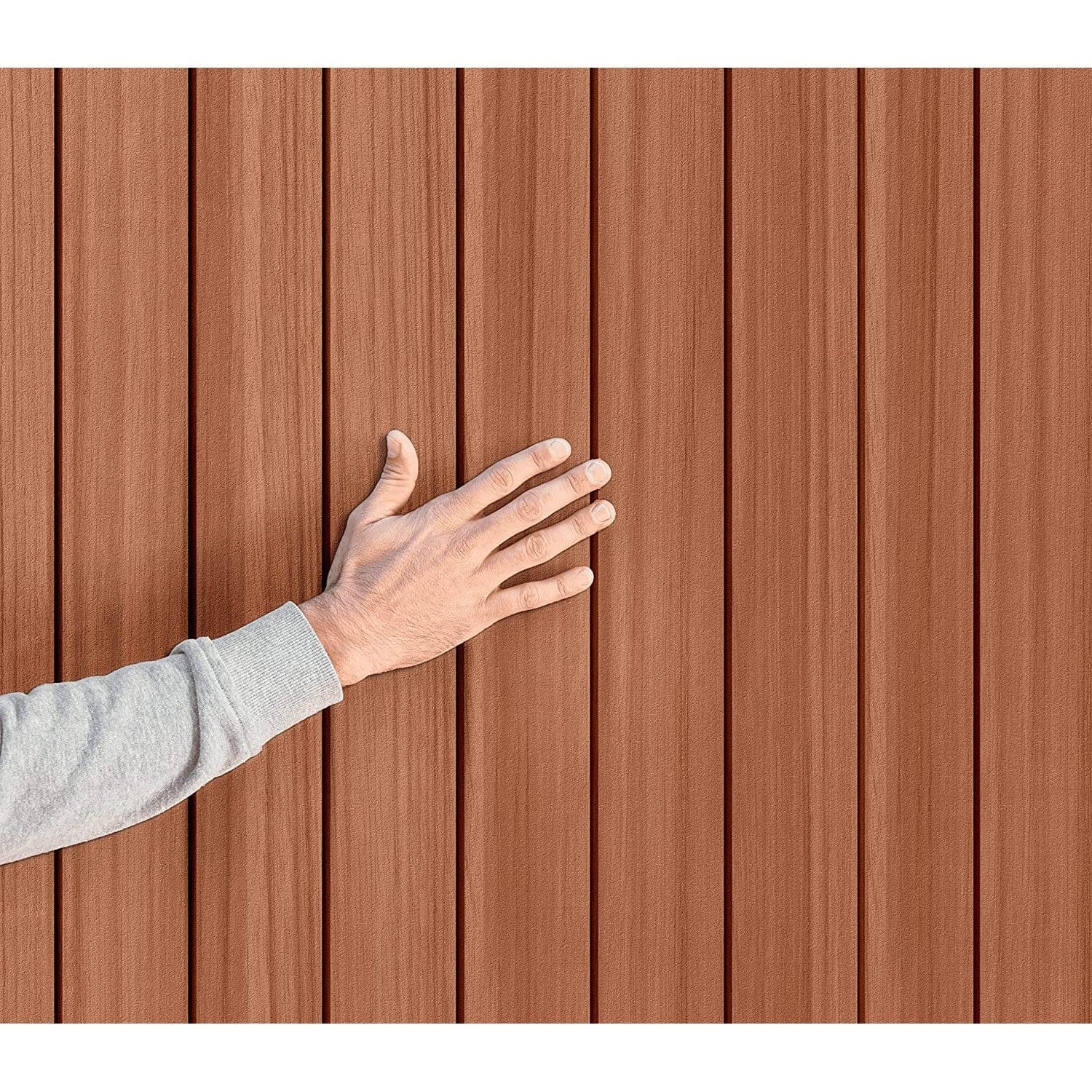 Abri Keter Darwin 8 x 6 pi en résine à toit à deux pentes, deux portes, plancher et une fenêtre – Image 5